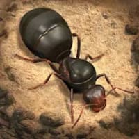 The Ants Underground Kingdom Mod Apk 1.27.0 (Unlimited Money, Gems)